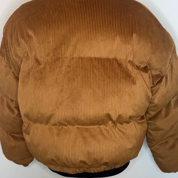 Jacket - Picture 8 of 11